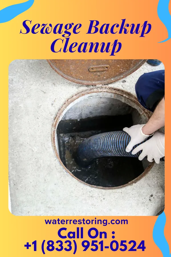 Sewage Backup Cleanup in Saint Joseph, KY