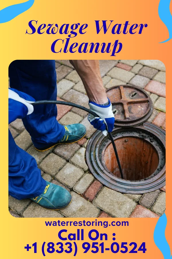 Sewage Water Cleanup in Saint Joseph, KY