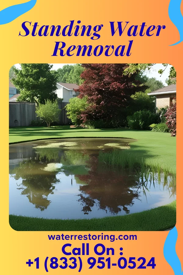 Standing Water Removal in Saint Joseph, KY